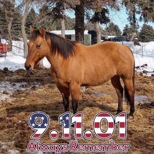 Meet your Posher, Vicky